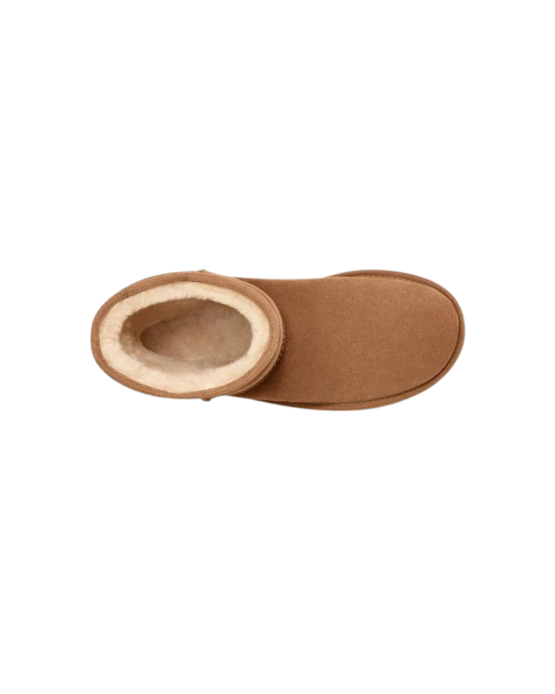 UGG AUSTRALIA W Classic Short II