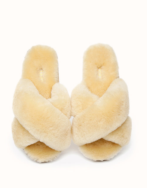 AUSTRALIAN SHEPHERD® LINTY Slippers