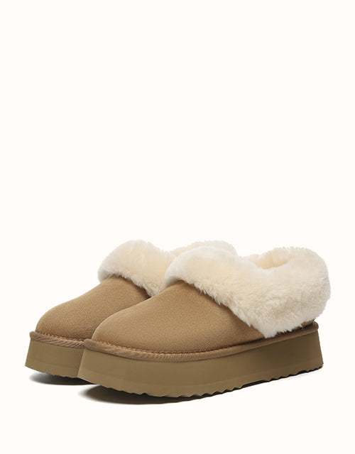 AUSTRALIAN SHEPHERD® Clarrie Platform