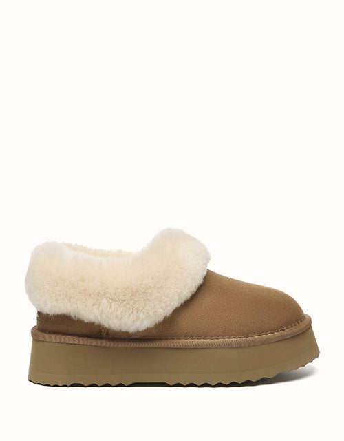 AUSTRALIAN SHEPHERD® Clarrie Platform