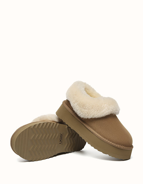 AUSTRALIAN SHEPHERD® Clarrie Platform