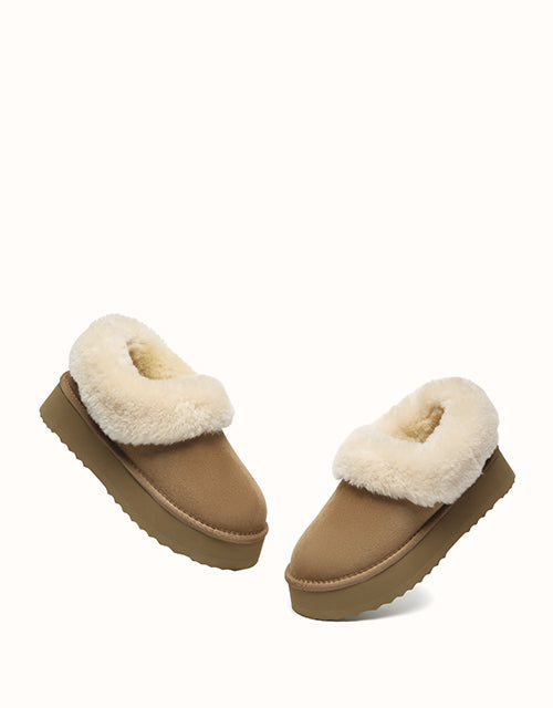 AUSTRALIAN SHEPHERD® Clarrie Platform