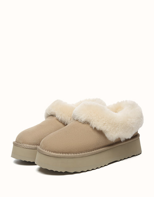 AUSTRALIAN SHEPHERD® Clarrie Platform