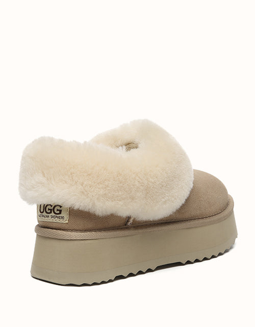 AUSTRALIAN SHEPHERD® Clarrie Platform