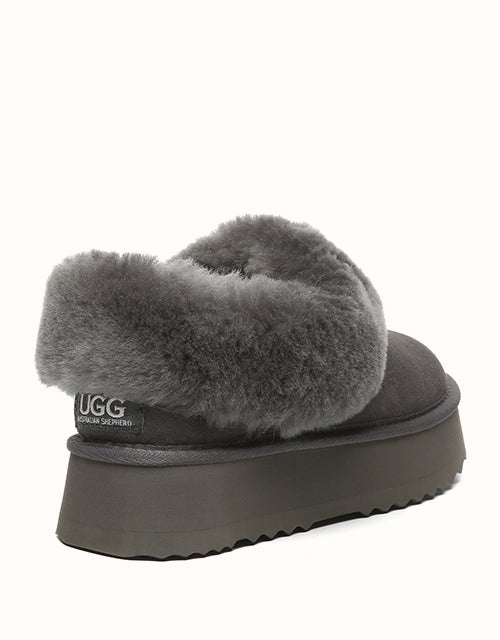 AUSTRALIAN SHEPHERD® Clarrie Platform