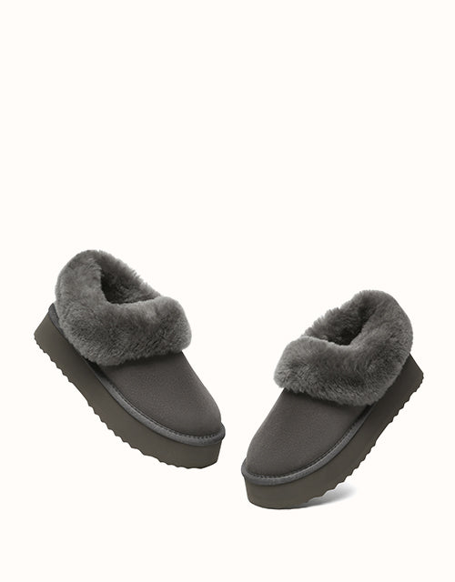 AUSTRALIAN SHEPHERD® Clarrie Platform
