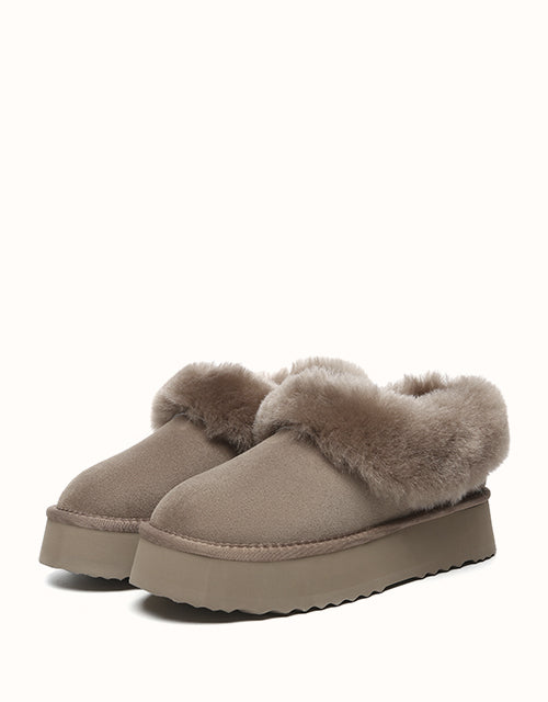 AUSTRALIAN SHEPHERD® Clarrie Platform