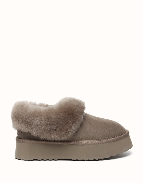 AUSTRALIAN SHEPHERD® Clarrie Platform