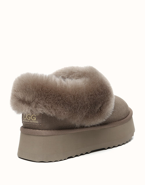 AUSTRALIAN SHEPHERD® Clarrie Platform