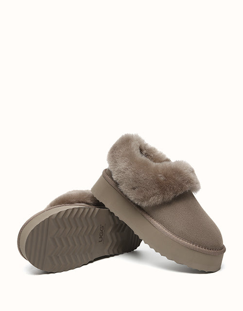 AUSTRALIAN SHEPHERD® Clarrie Platform