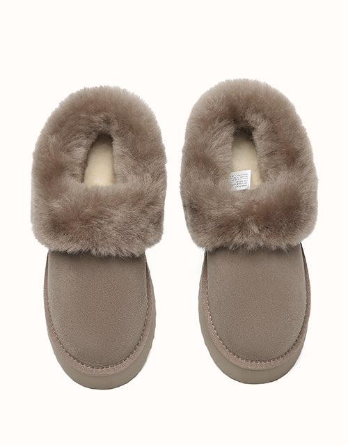 AUSTRALIAN SHEPHERD® Clarrie Platform