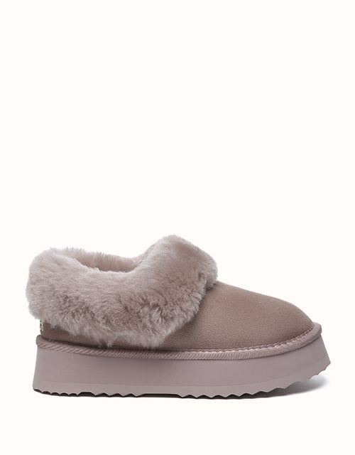AUSTRALIAN SHEPHERD® Clarrie Platform