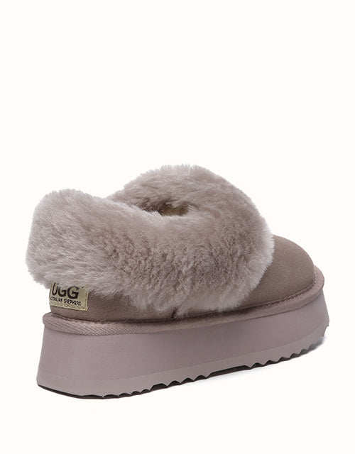 AUSTRALIAN SHEPHERD® Clarrie Platform