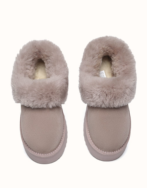 AUSTRALIAN SHEPHERD® Clarrie Platform